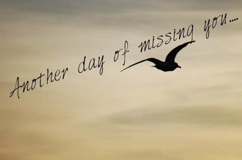 Andachtsbild von ❤️