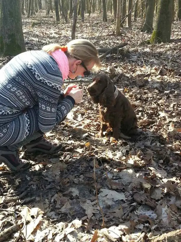 Andachtsbild von ❤️