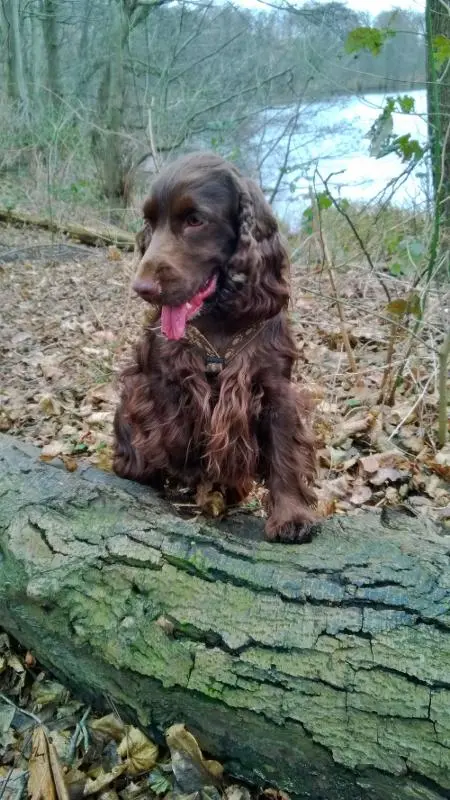 Andachtsbild von Für meinen Linus 