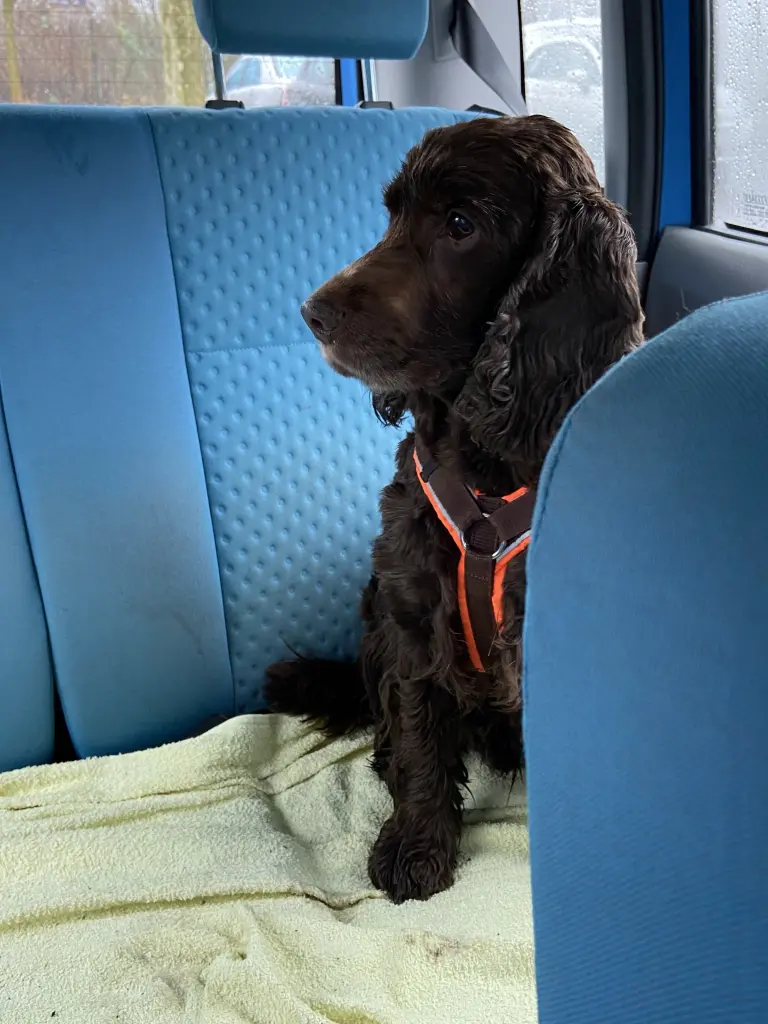 Andachtsbild von In Liebe ❤️