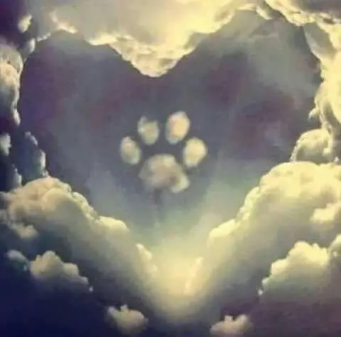 Andachtsbild von Melanie 