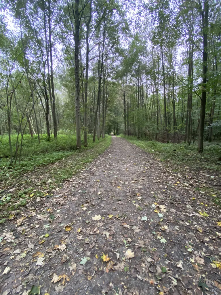 Andachtsbild von Für mein Liebling 