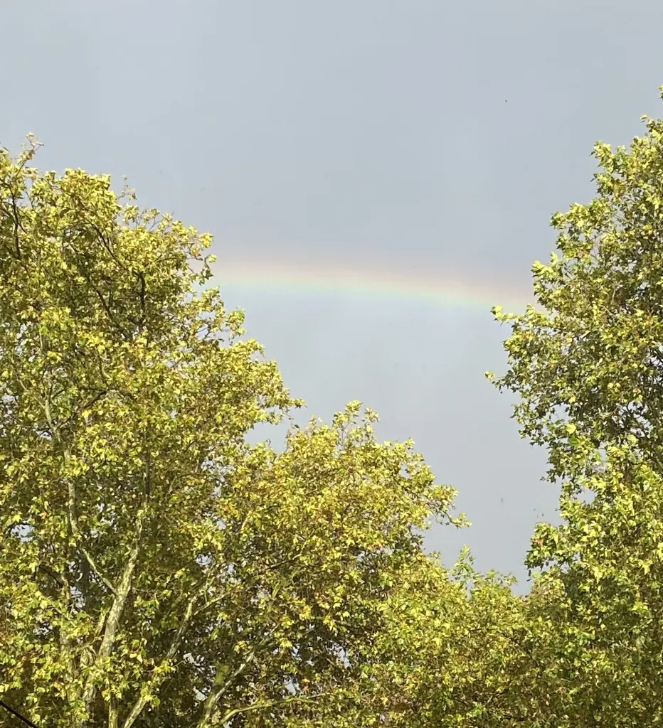 Andachtsbild von Danke ❤️