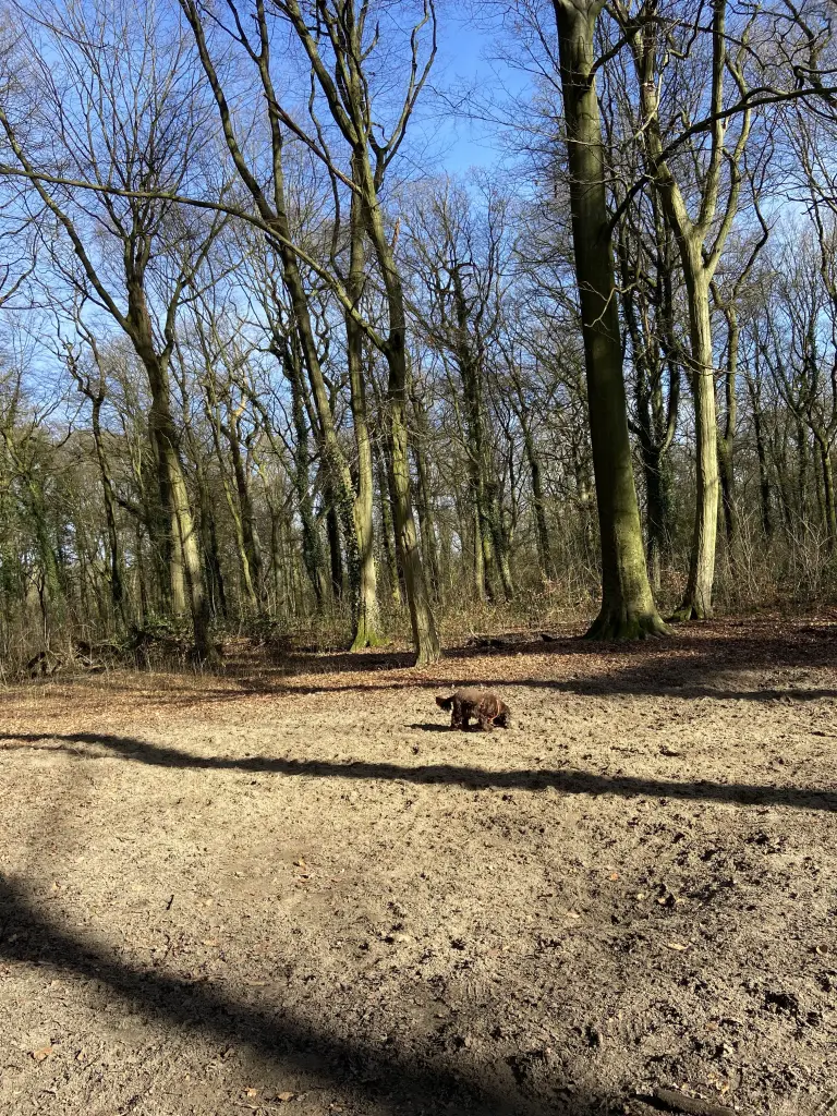 Andachtsbild von In Liebe ❤️