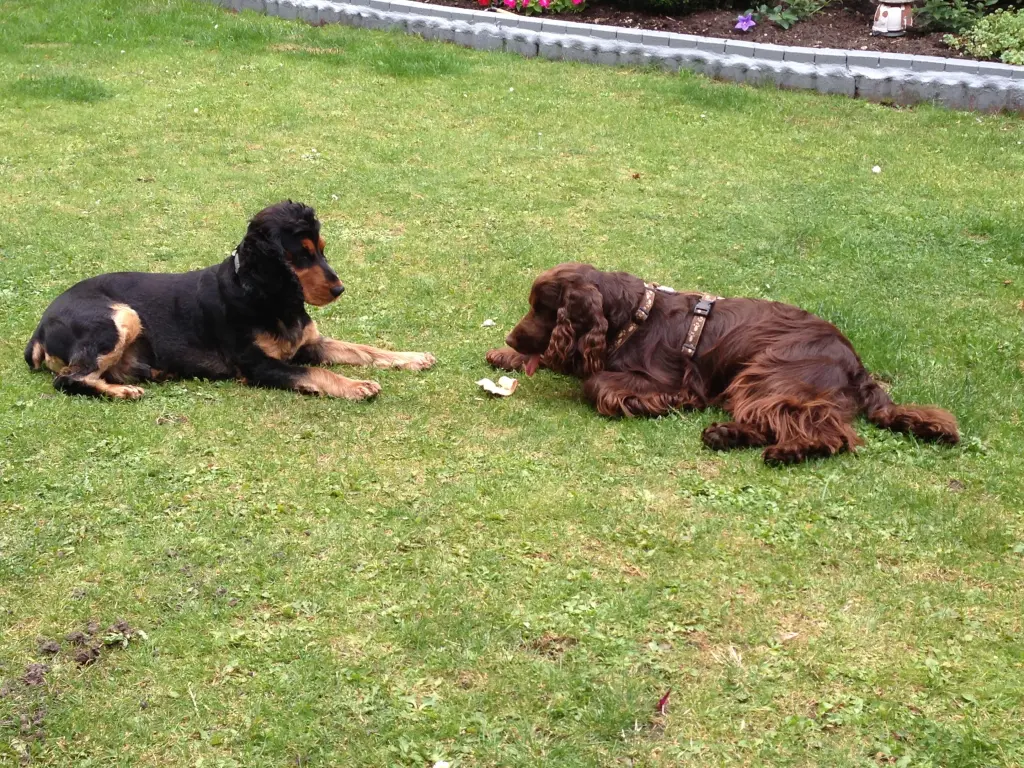 Andachtsbild von Für unseren Linus ❤️