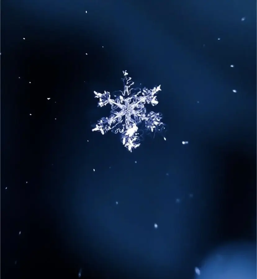 Andachtsbild von In ewiger Liebe ❤️