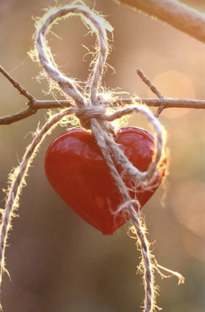 Andachtsbild von Für mein Prinzelchen