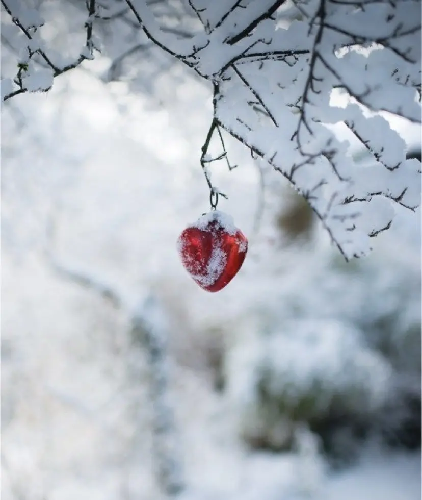 Andachtsbild von In Liebe bis in den Himmel