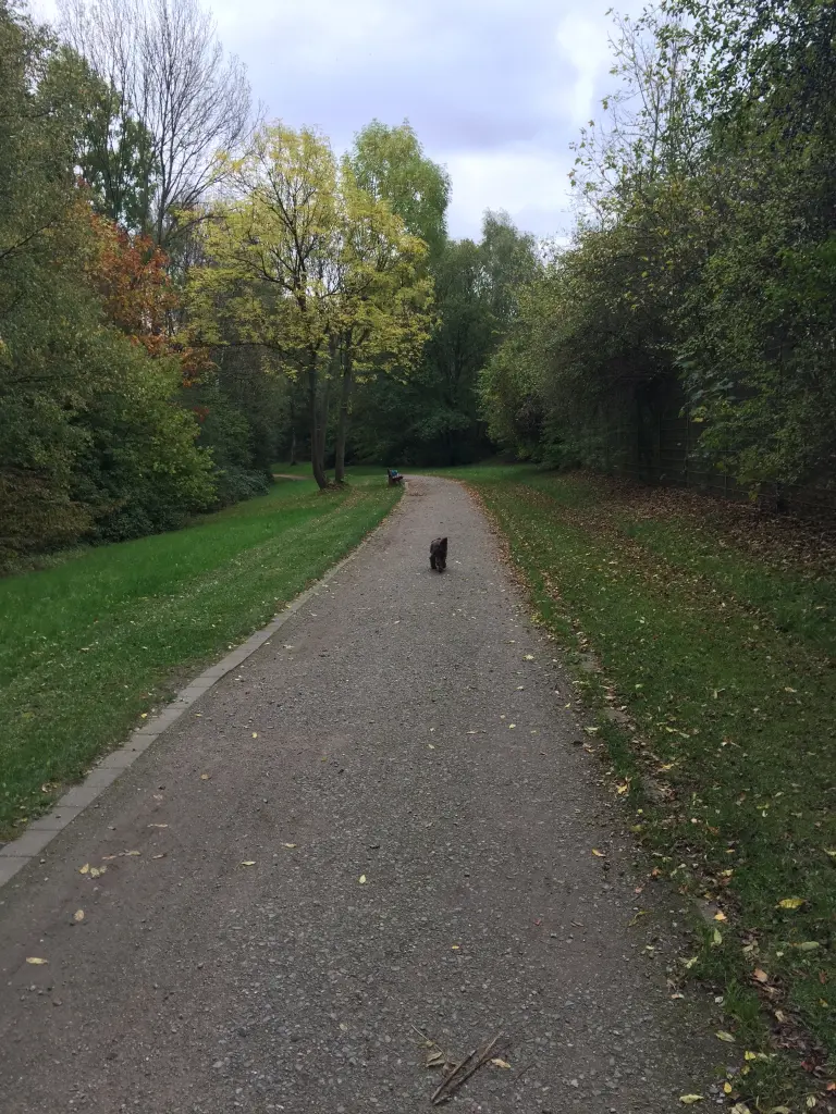 Andachtsbild von Für mein Liebling 