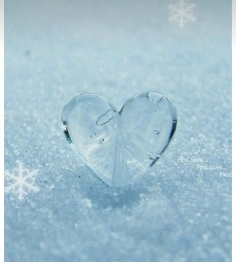 Andachtsbild von In Liebe ❤️