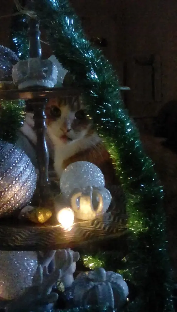 Andachtsbild von Beate und Arne mit Elvis im Herzen ❤