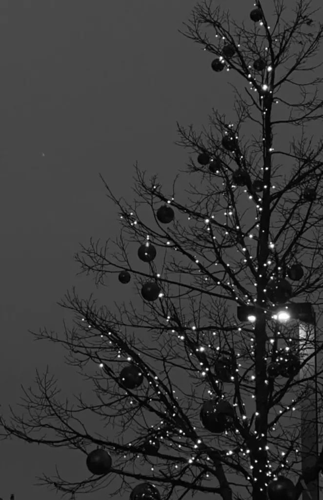 Andachtsbild von ❤️2. Weihnachtstag❤️