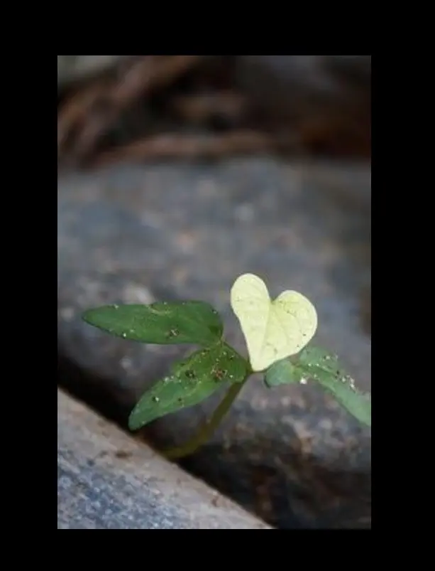 Andachtsbild von Für mein Schokobub ❤️