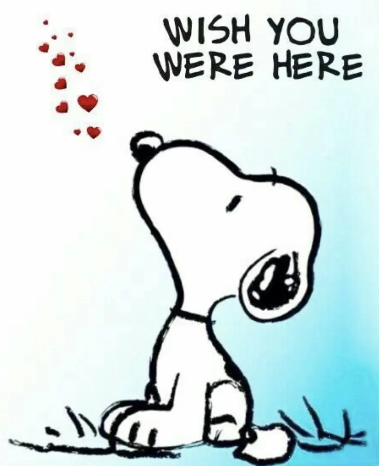 Andachtsbild von Für dich, mein Liebling ❤️