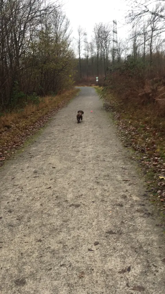 Andachtsbild von Für dich, meine kleine Seele ❤️