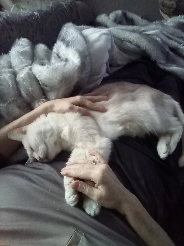 Andachtsbild von Beate und Arne mit Elvis im Herzen ❤