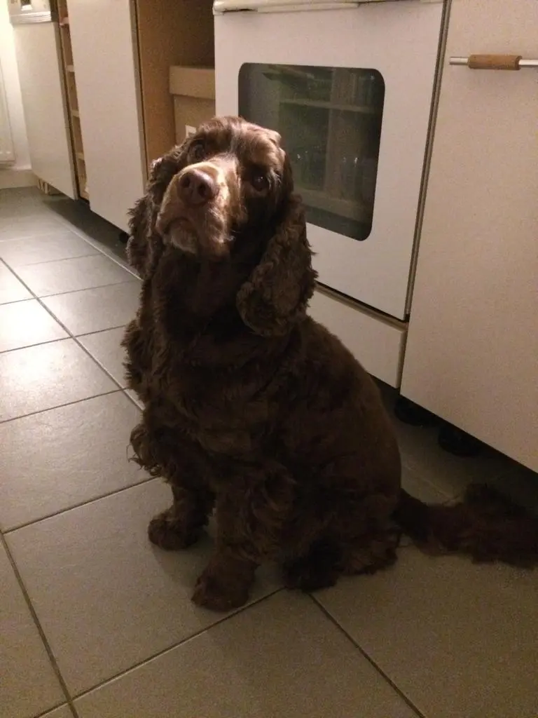 Andachtsbild von Für dich, du wunderbarer Junge ❤️