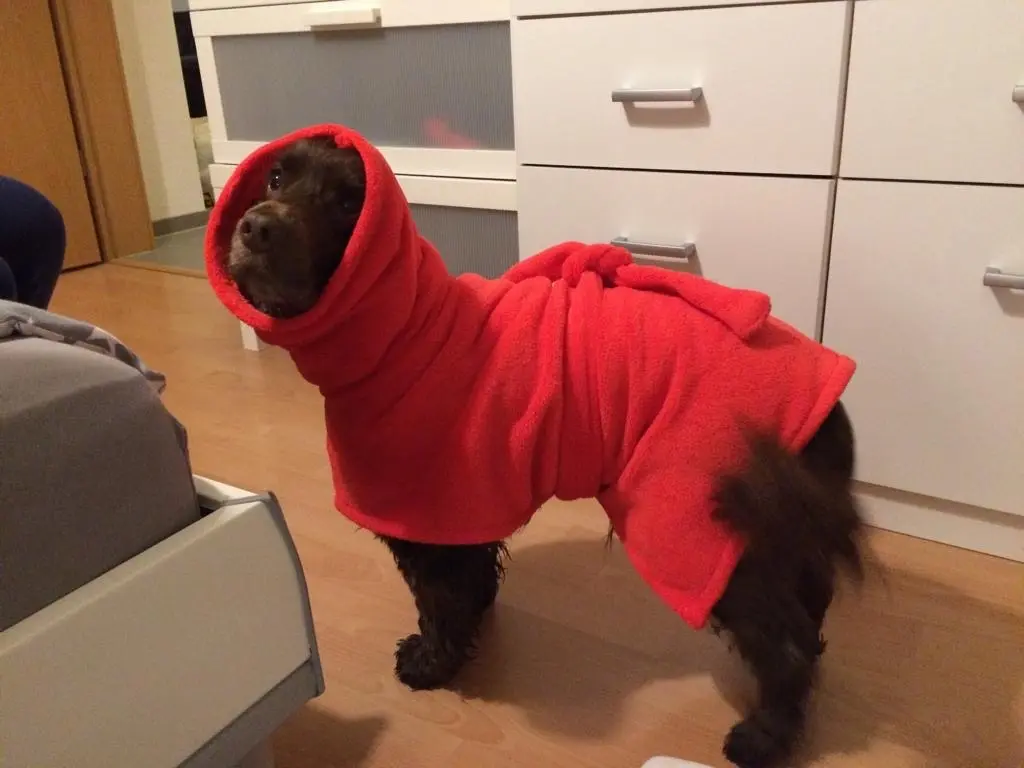 Andachtsbild von Für dich, mein Prinzelchen❤️