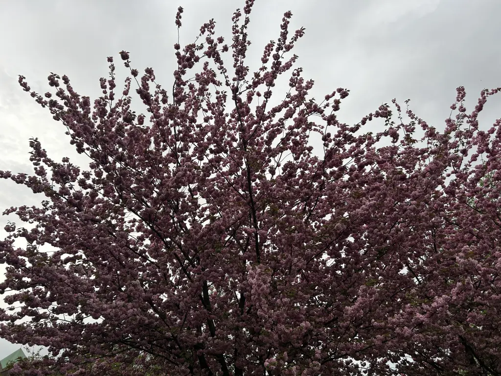 Andachtsbild von Für dich, du liebster Schatz ❤️