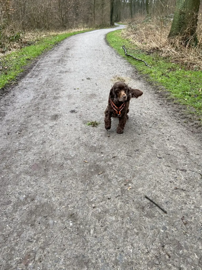 Andachtsbild von Für dich, du liebster Schatz ❤️