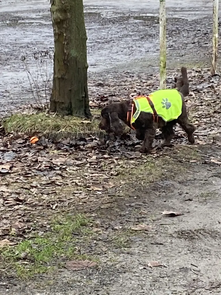 Andachtsbild von Für dich, mein Junge ❤️