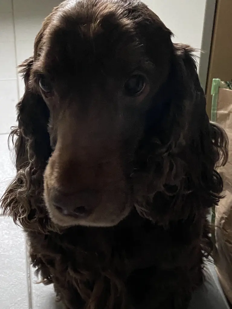 Andachtsbild von Für dich, mein liebster Schatz ❤️