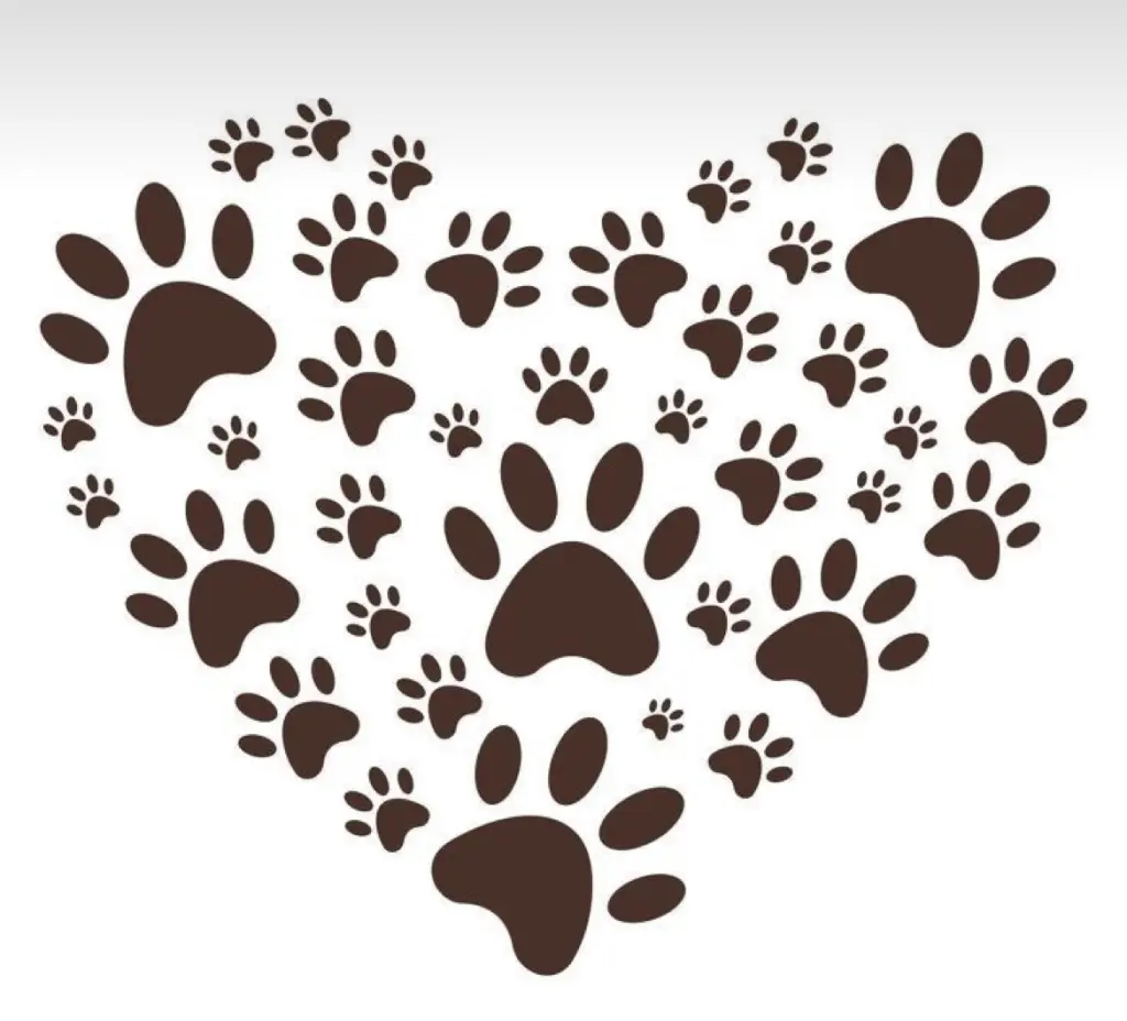 Andachtsbild von Für dich, du liebevolles Wesen ❤️