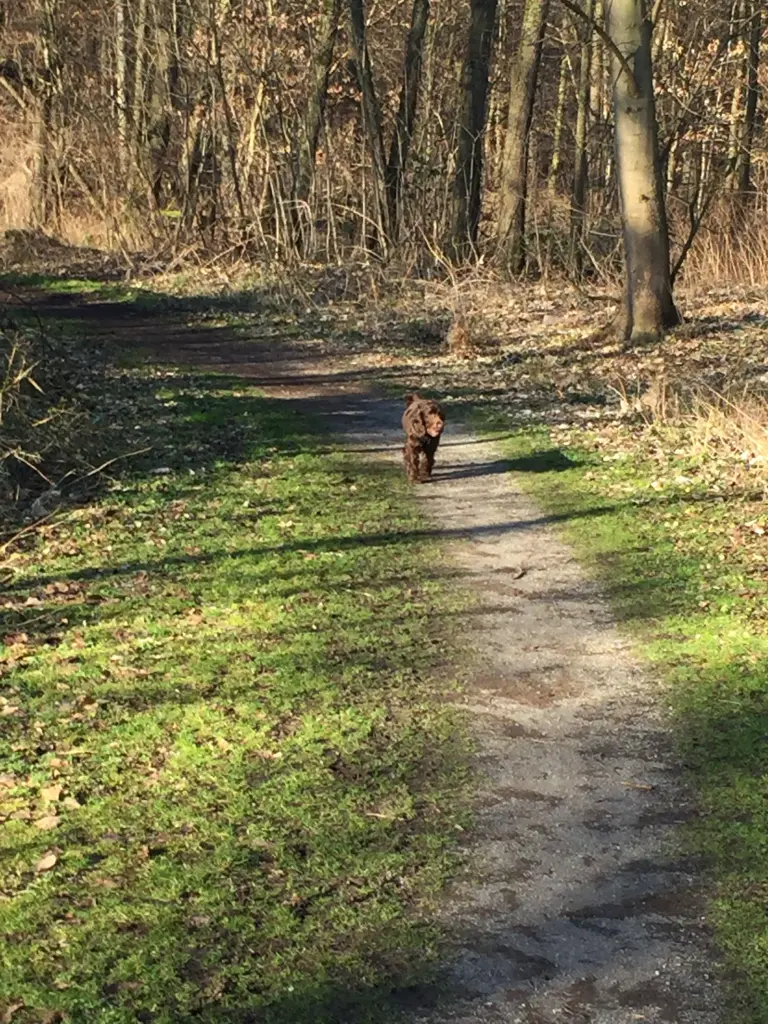 Andachtsbild von Du, mein liebster Junge ❤️ 