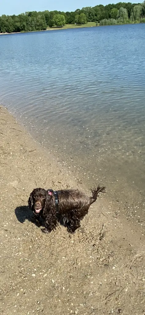 Andachtsbild von Für dich ❤️