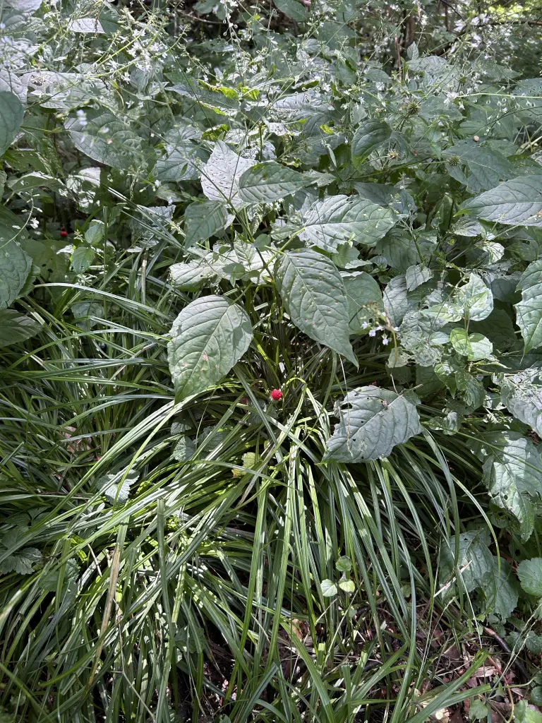 Andachtsbild von In Liebe ❤️