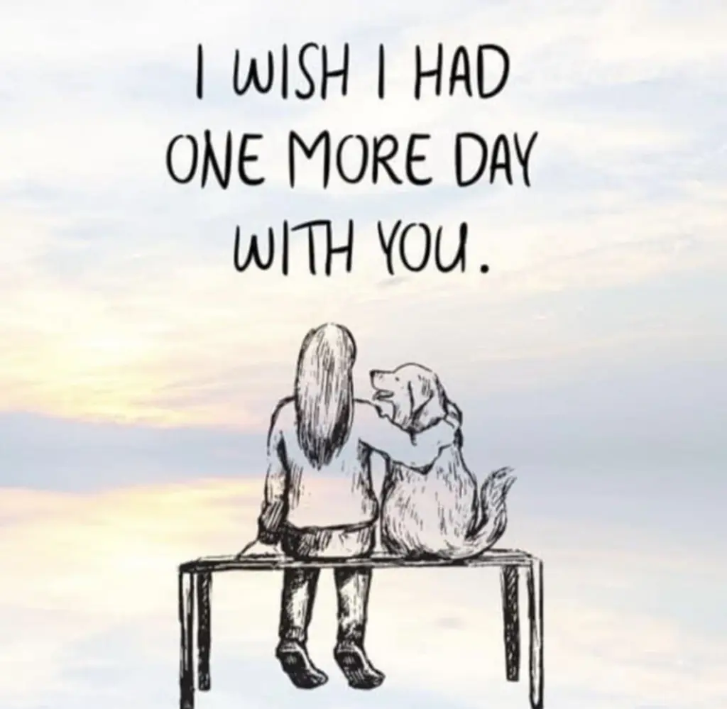 Andachtsbild von Für meine Prinzelchen ❤️