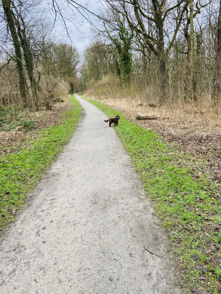 Andachtsbild von Für dich ❤️