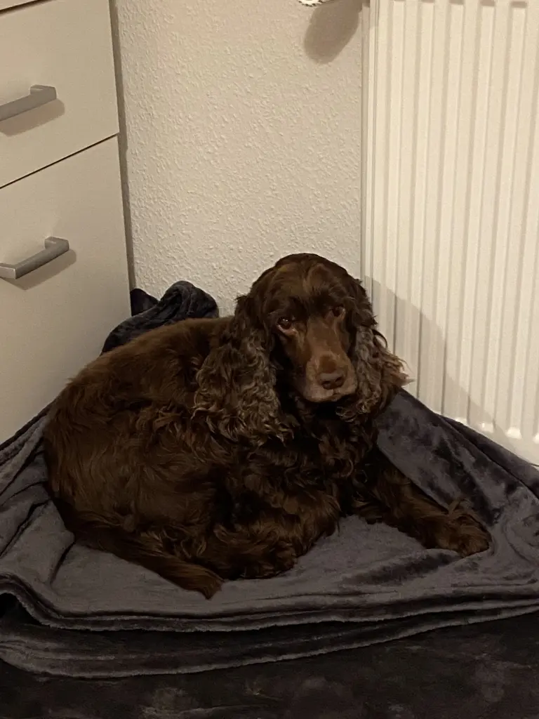 Andachtsbild von Für mein Ein und Alles ❤️