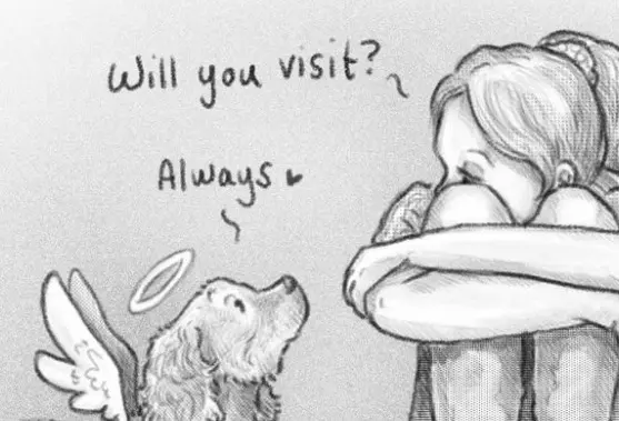 Andachtsbild von Für mein Prinzelchen ❤️