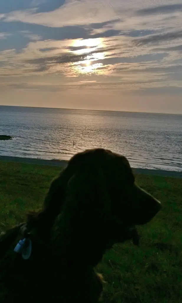 Andachtsbild von Für dich, mein Schatz ❤️