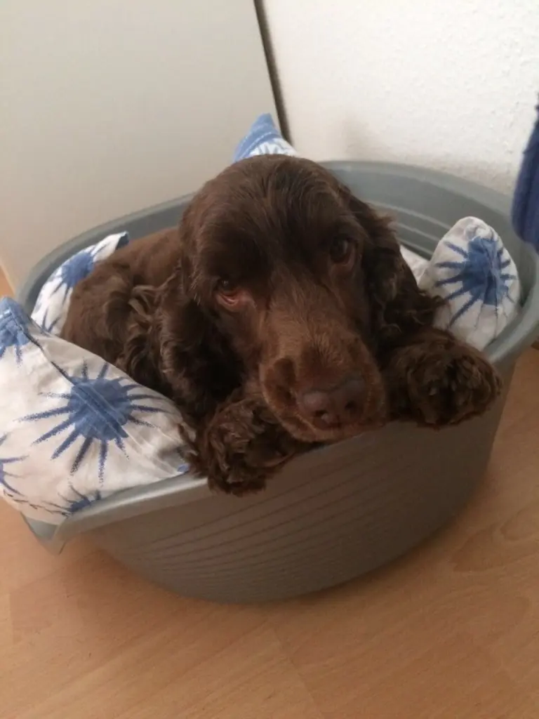 Andachtsbild von Mama ❤️