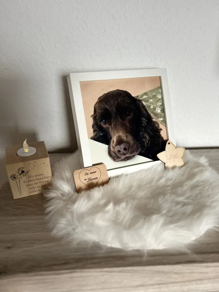 Andachtsbild von 4. Advent ❤️