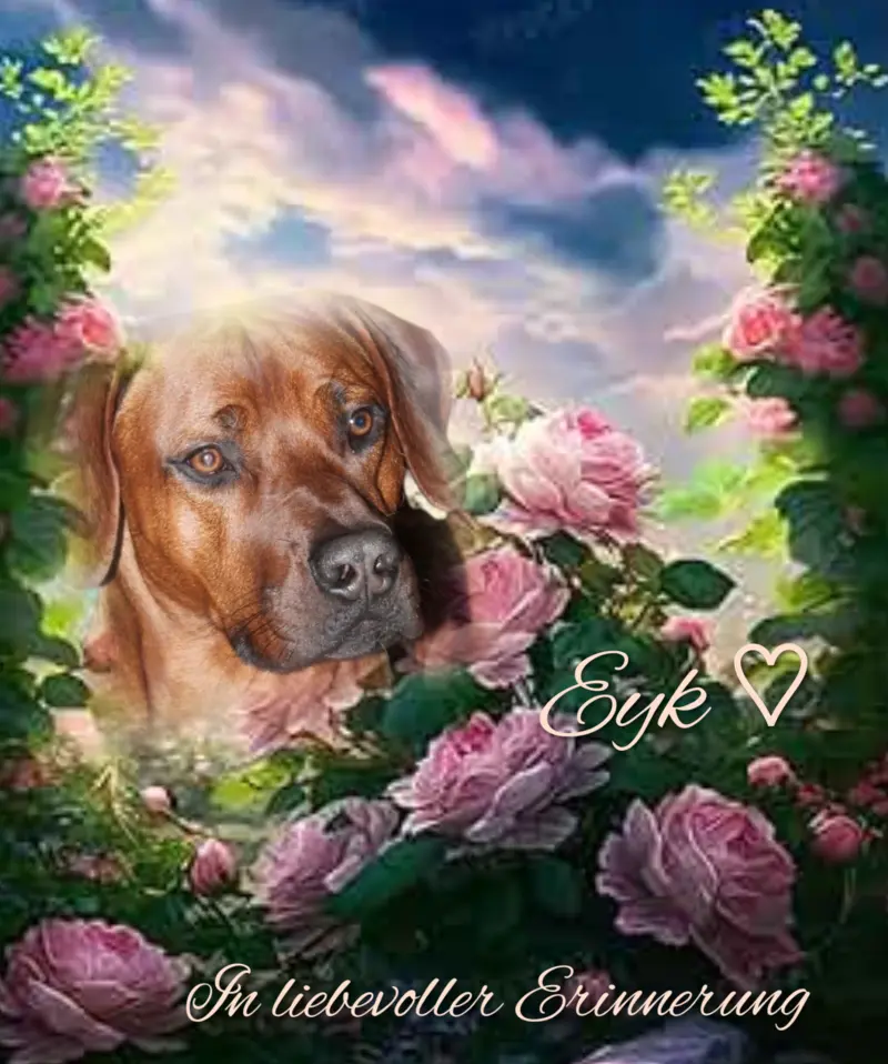 Andachtsbild von Christiane mit Eyk tief im ♥️