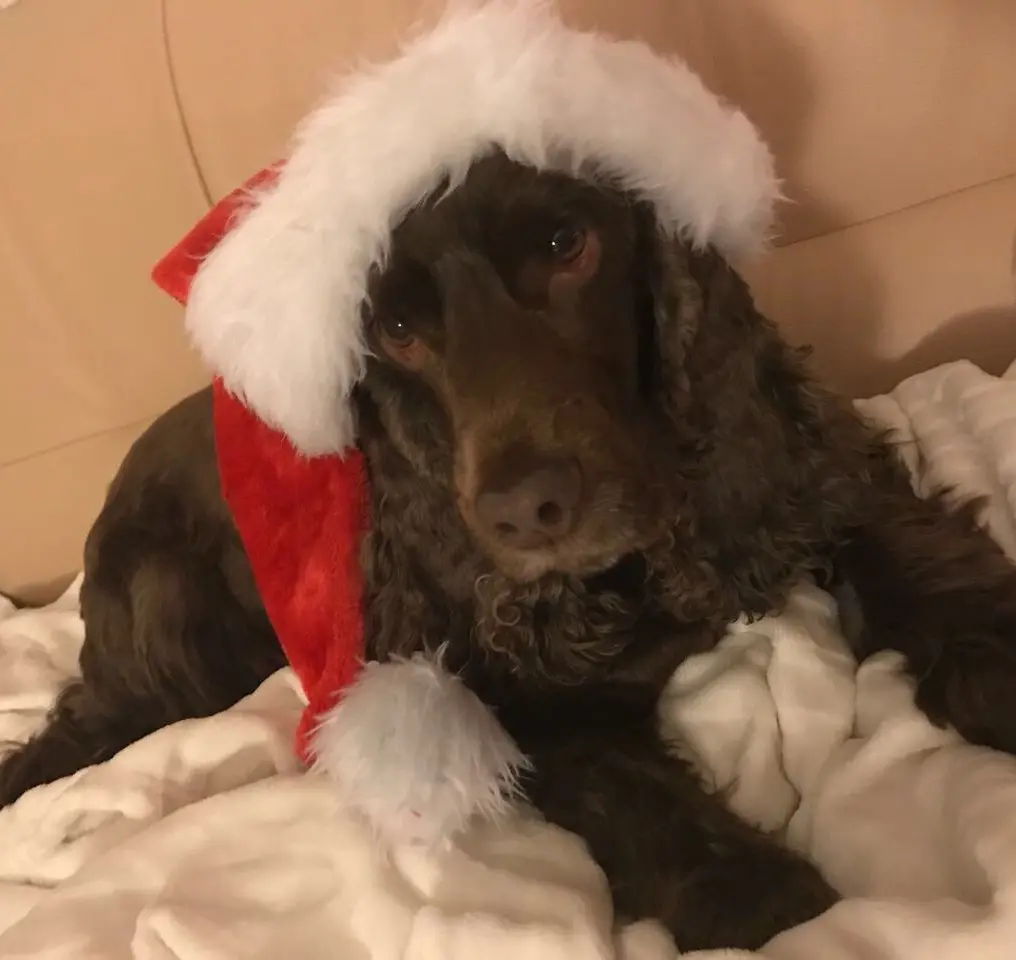 Andachtsbild von Deine Familie ❤️