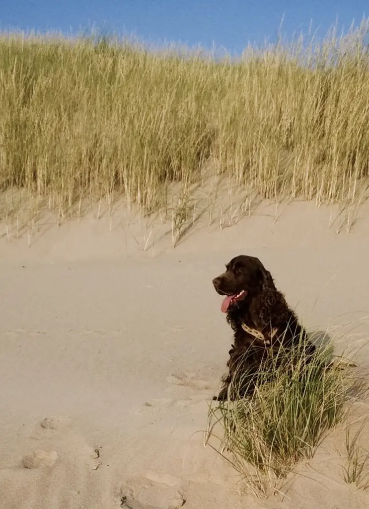 Andachtsbild von Für mein Bub ❤️