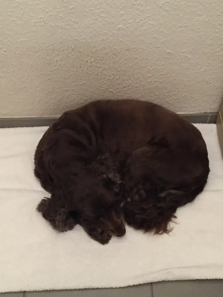 Andachtsbild von Deine geliebte Familie ❤️