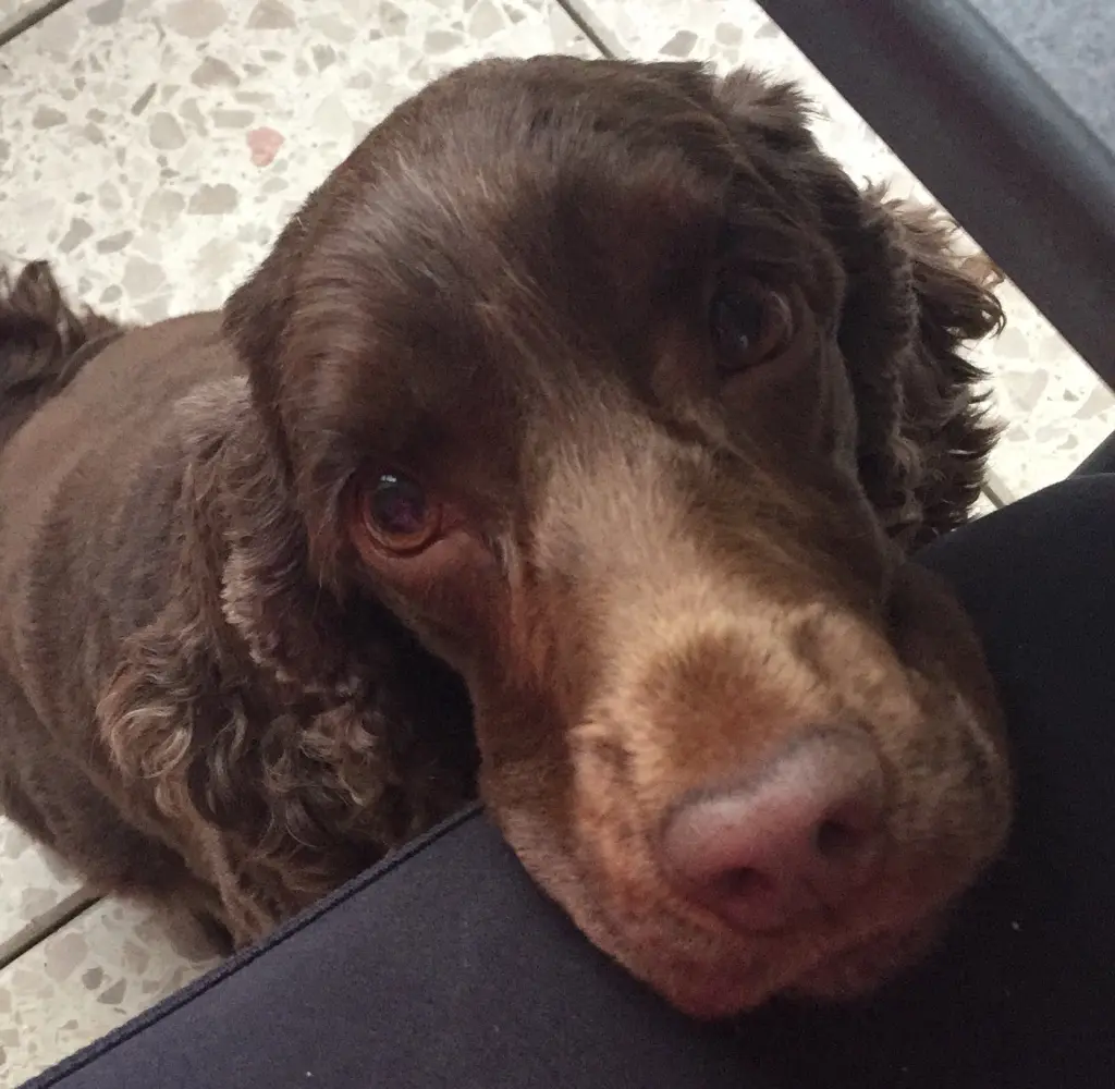 Andachtsbild von Deine dich ewig liebende Familie ❤️