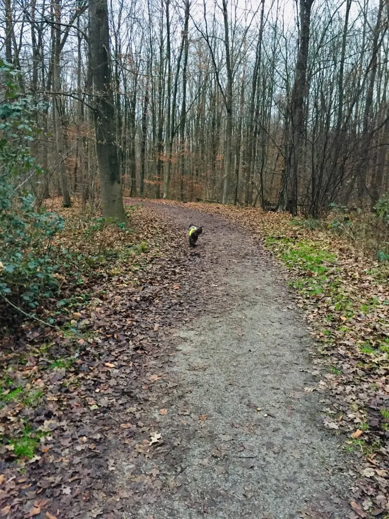 Andachtsbild von In ewiger Liebe ❤️