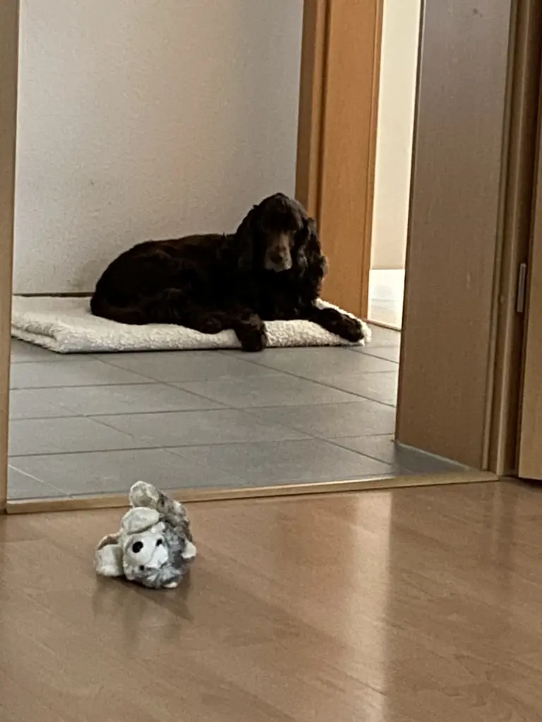 Andachtsbild von Deine Familie ❤️