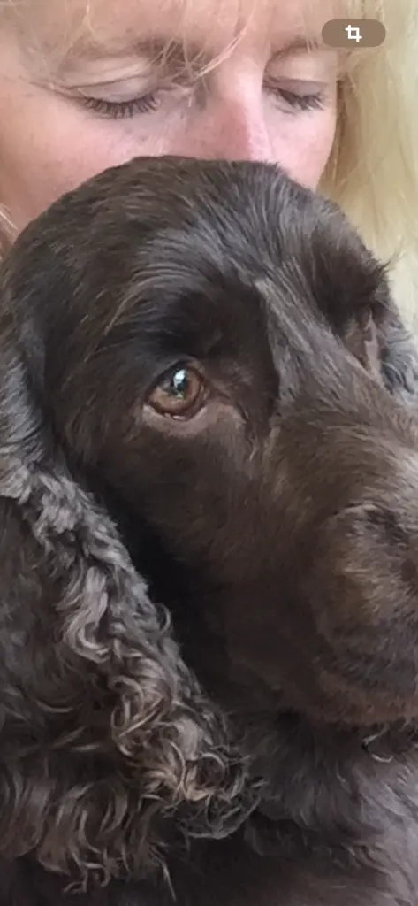 Andachtsbild von Deine geliebte Familie ❤️