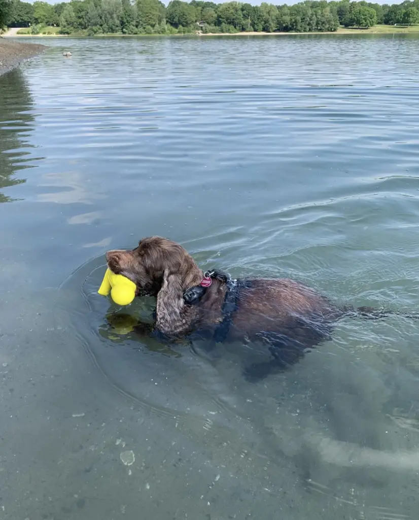 Andachtsbild von Deine Familie ❤️