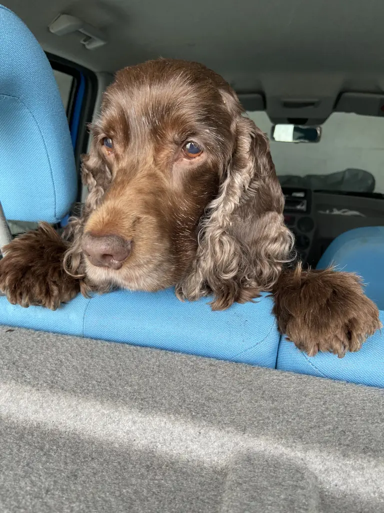 Andachtsbild von Deine dich liebende Familie❤️