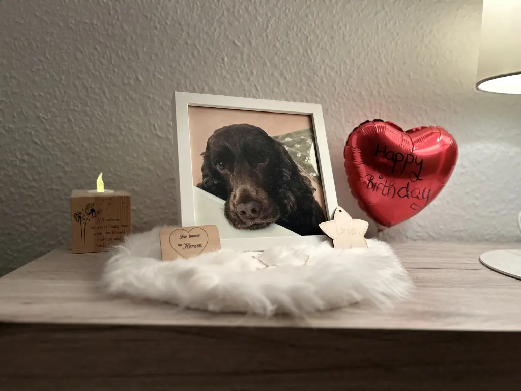 Andachtsbild von Happy Birthday ❤️