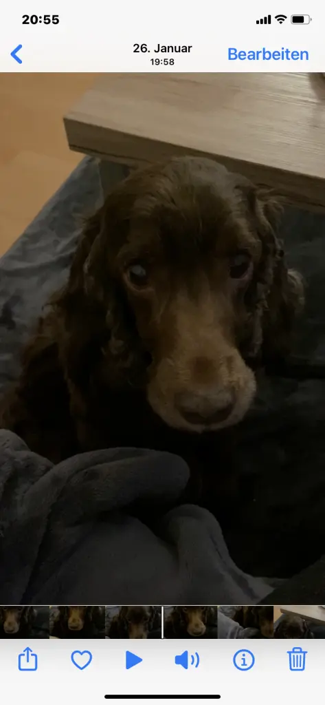 Andachtsbild von Deine Familie❤️