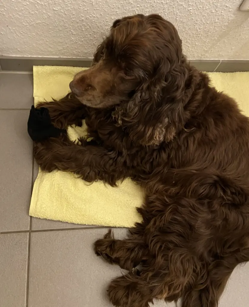 Andachtsbild von In Liebe ❤️